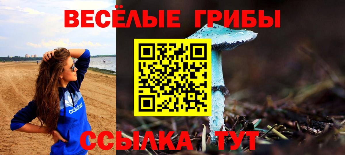 Галлюциногенные грибы прущие грибы  что такое   Донской  Галлюциногенные грибы Cubensis  Вход с VPN 